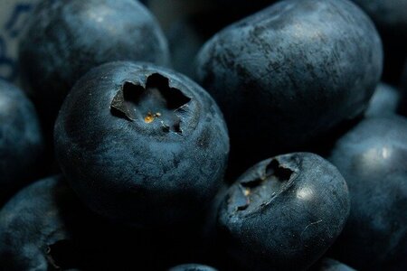 blueberries-5243712_640.jpg