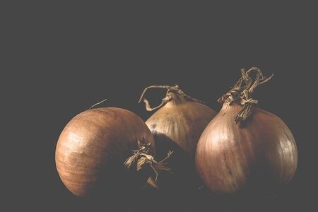 onions-3151644_640.jpg