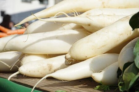 radishes-318155_640.jpg
