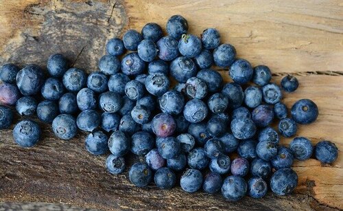 blueberries-ge971bab4f_640.jpg