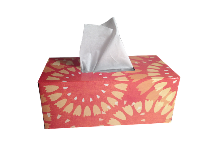 tissues-g9fde3bf41_640.png