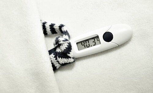 clinical-thermometer-3798294_640.jpg