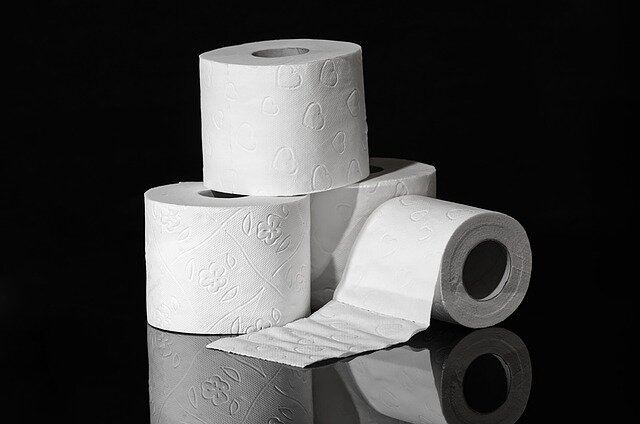 toilet-paper-g6ec36343d_640.jpg