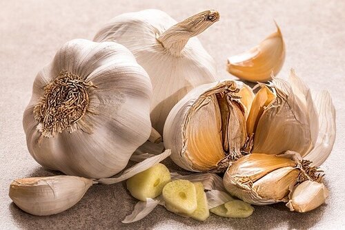 garlic-3419544_640.jpg
