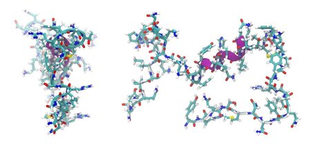 adrenomedullin-872350_1280.jpg